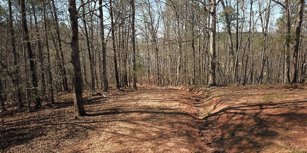 333 Laurel Mountain Drive, Toccoa, GA for sale