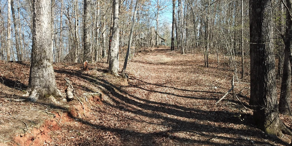 333 Laurel Mountain Drive, Toccoa, GA for sale