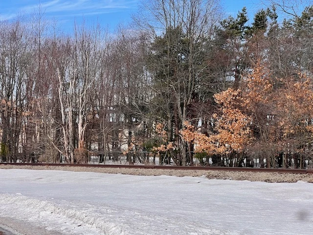 Investment Property 