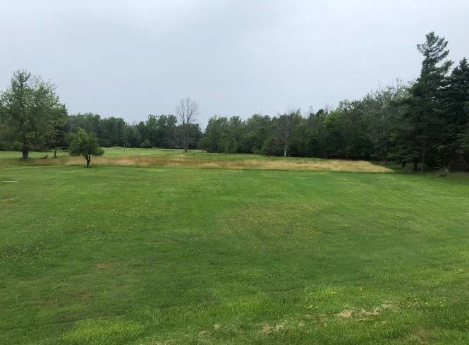 2890 Southwestern Blvd - Commercial & Residential (Mixed Use) Land with 720+/- SF House