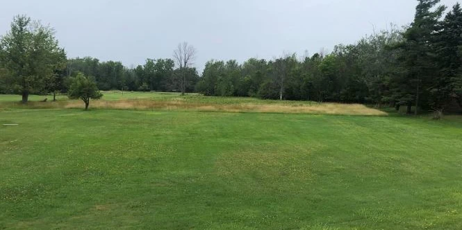 2890 Southwestern Blvd - Commercial & Residential (Mixed Use) Land with 720+/- SF House