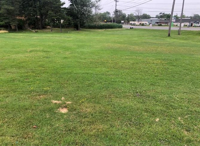 2890 Southwestern Blvd - Commercial & Residential (Mixed Use) Land with 720+/- SF House