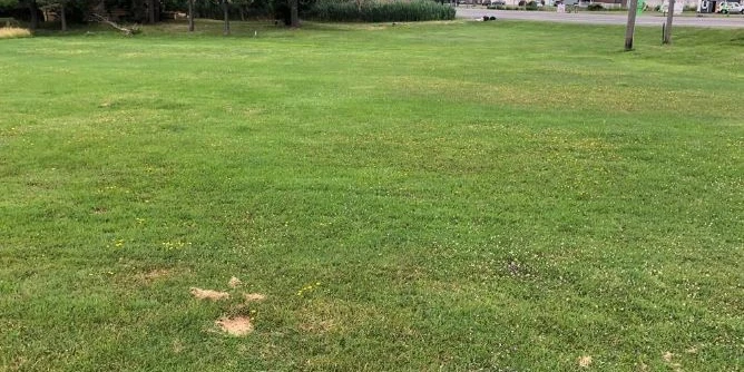 2890 Southwestern Blvd - Commercial & Residential (Mixed Use) Land with 720+/- SF House