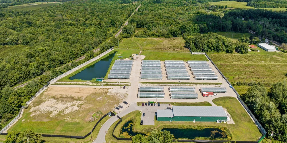 Breedsville - Former Operating/Turnkey Greenhouse Cultivation Site
