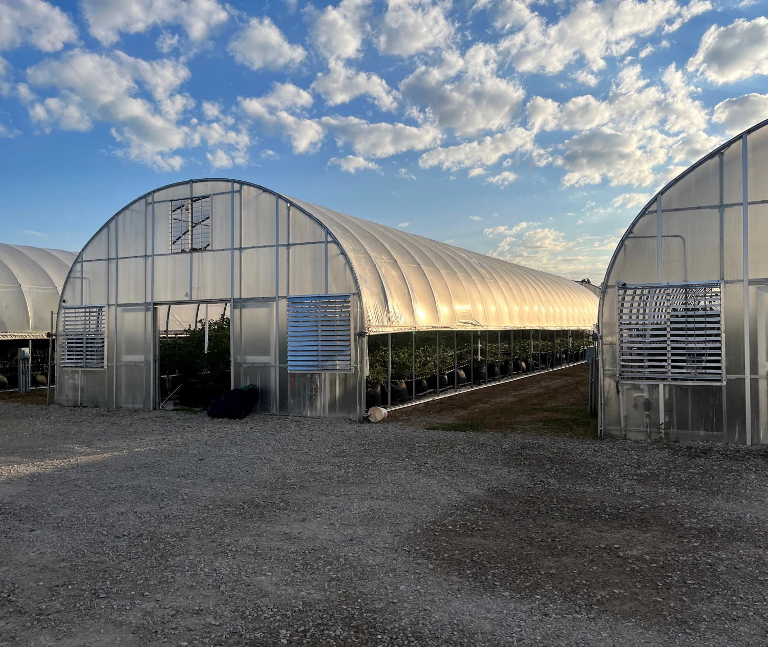 Breedsville - Former Operating/Turnkey Greenhouse Cultivation Site