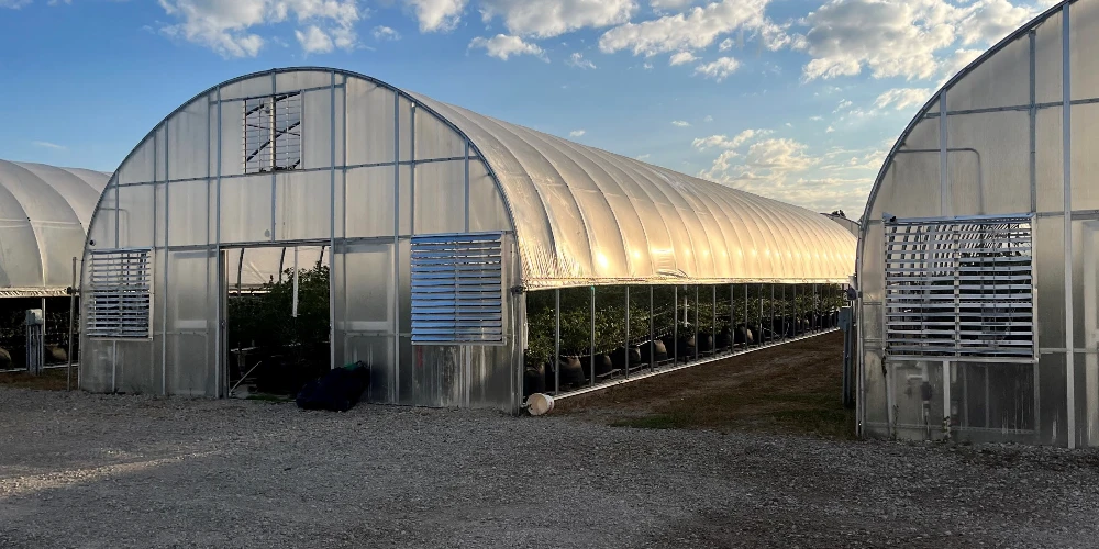 Breedsville - Former Operating/Turnkey Greenhouse Cultivation Site