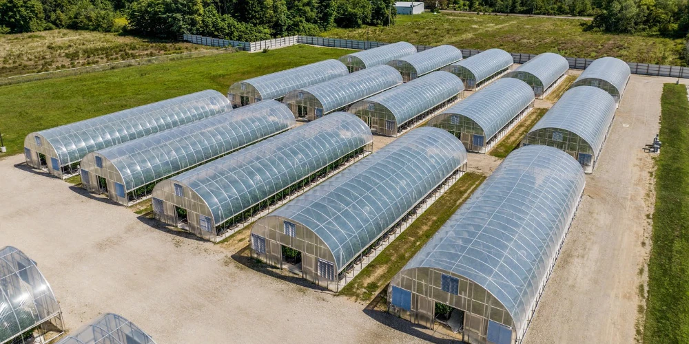 Breedsville - Former Operating/Turnkey Greenhouse Cultivation Site