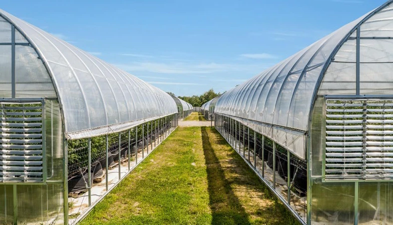 Breedsville - Former Operating/Turnkey Greenhouse Cultivation Site