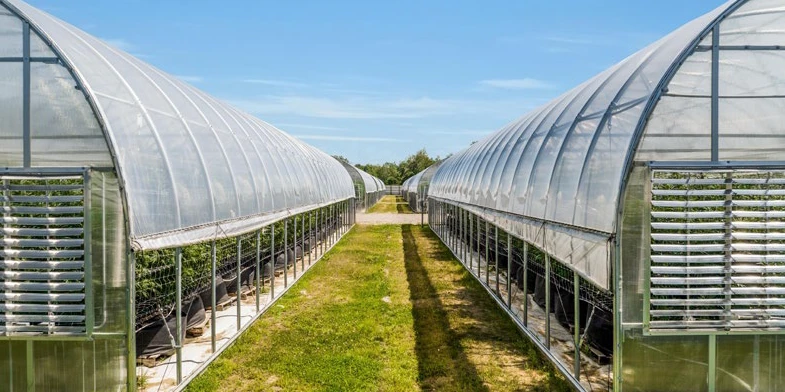 Breedsville - Former Operating/Turnkey Greenhouse Cultivation Site