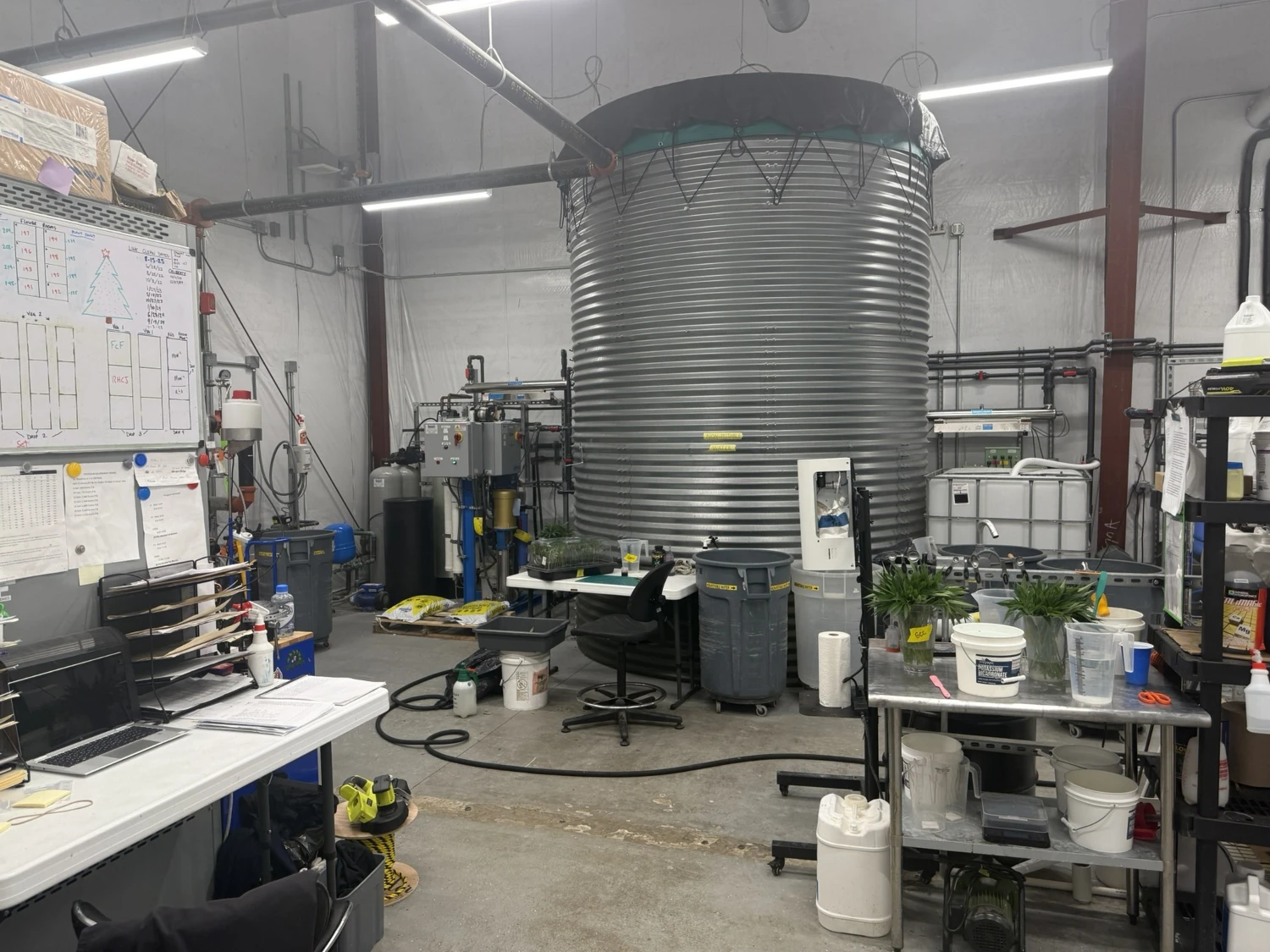 Clare - Operating Cultivation/Processing Facility