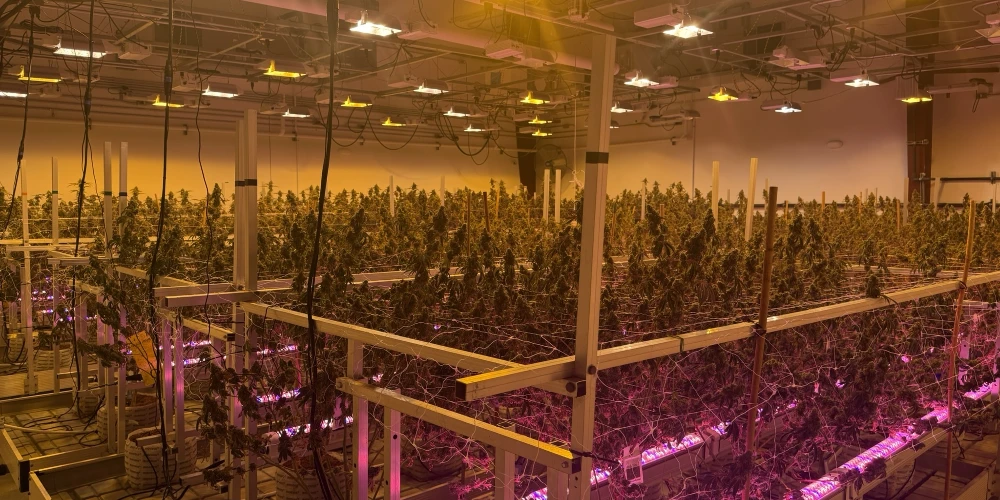 Clare - Operating Cultivation/Processing Facility