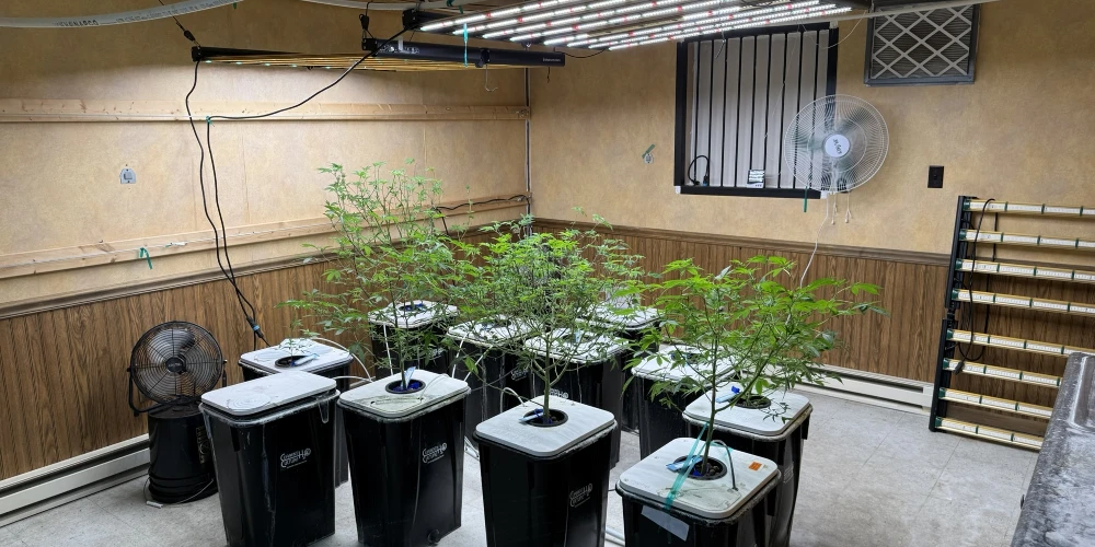 Kalkaska - Operating Cultivation Facility/Industrial Warehouse