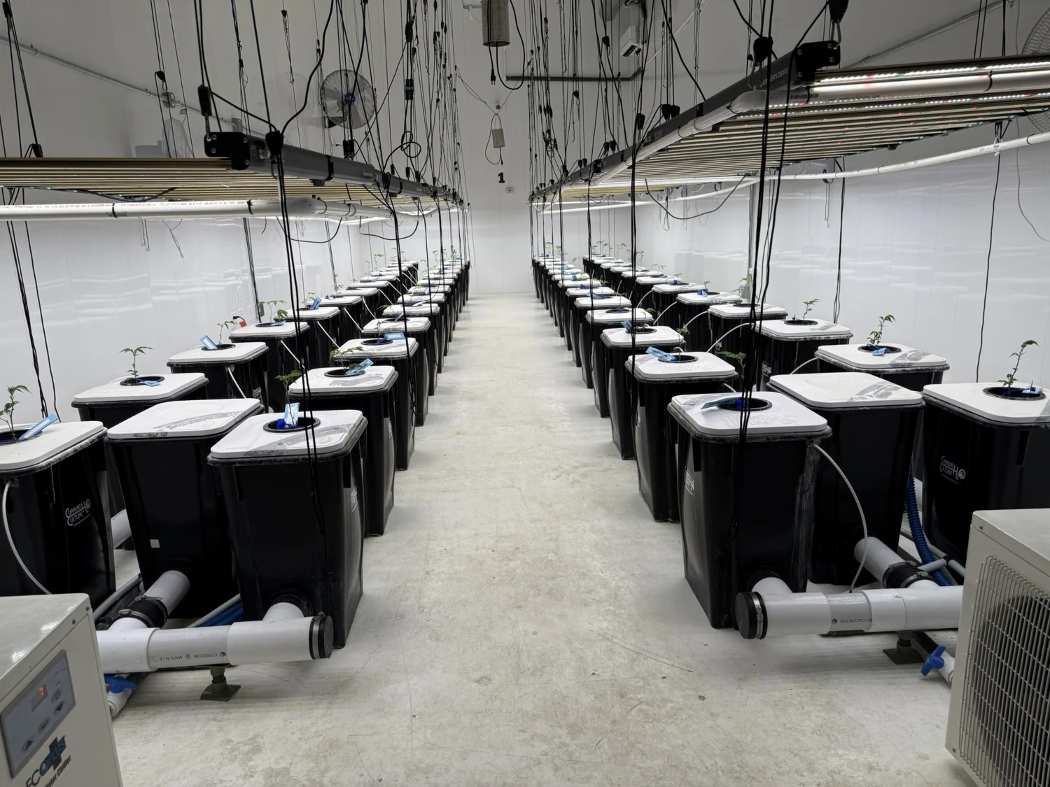 Kalkaska - Operating Cultivation Facility/Industrial Warehouse