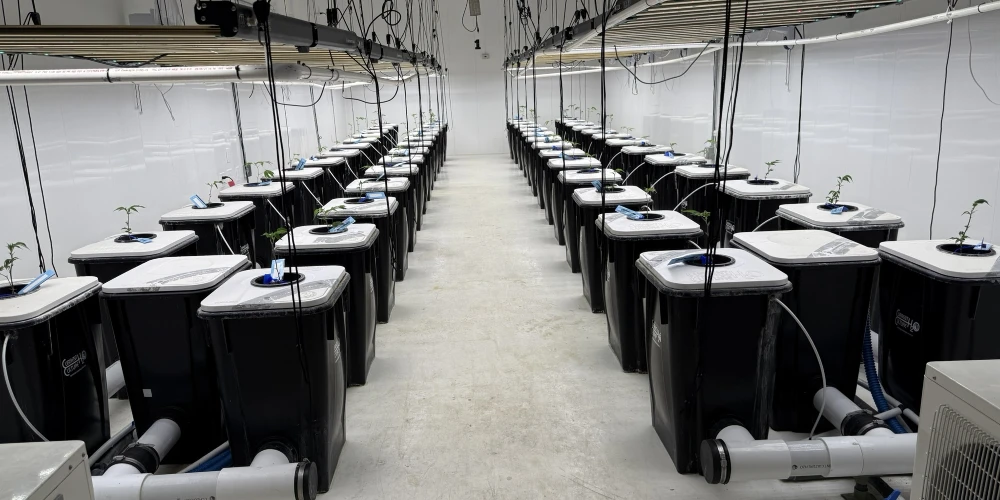 Kalkaska - Operating Cultivation Facility/Industrial Warehouse