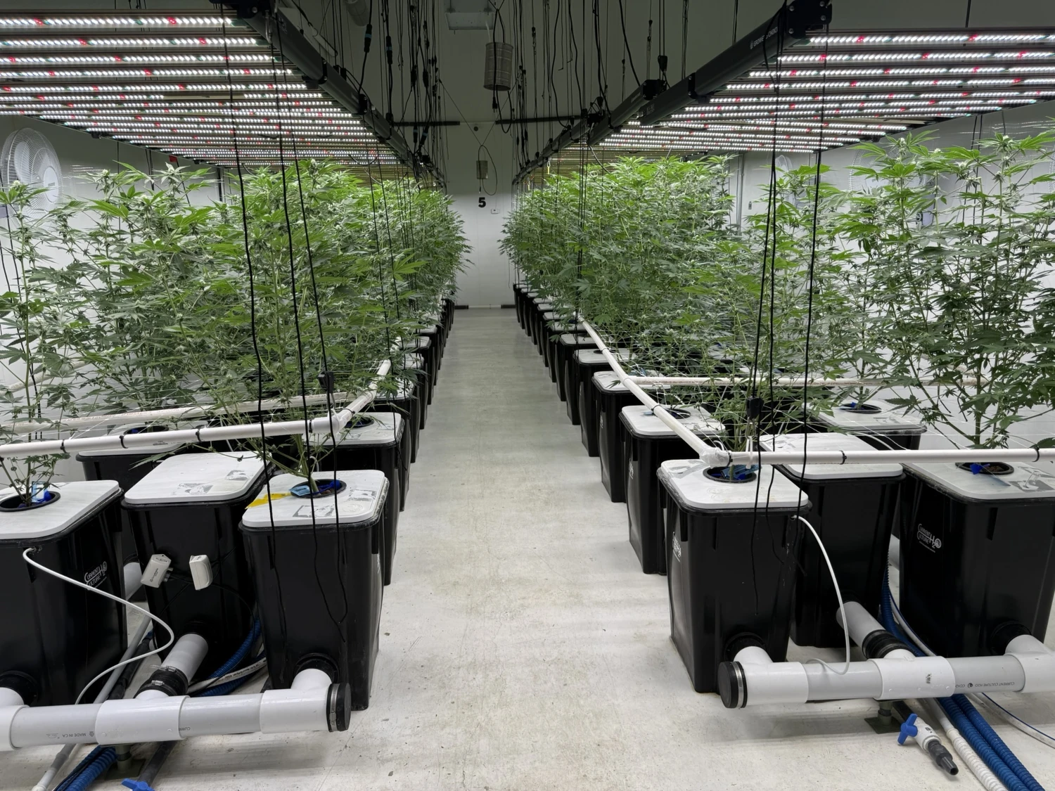 Kalkaska - Operating Cultivation Facility/Industrial Warehouse