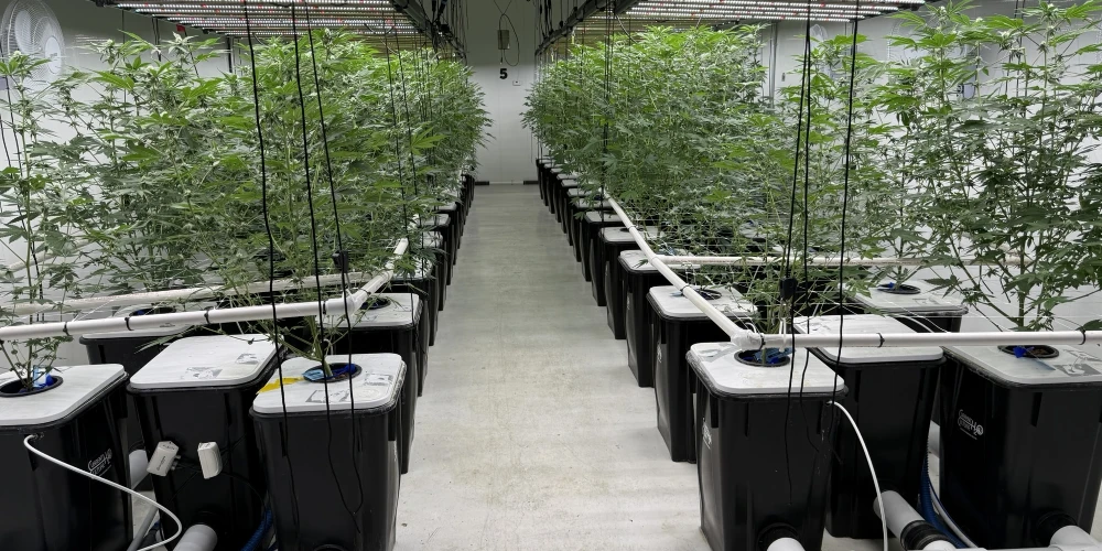 Kalkaska - Operating Cultivation Facility/Industrial Warehouse