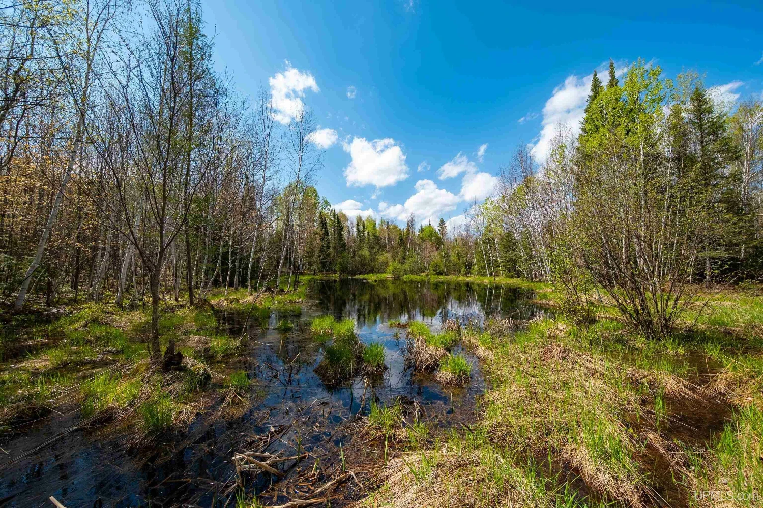 890 Acre Turn-Key Trophy Deer Ranch in Michigan’s Beautiful Upper Peninsula