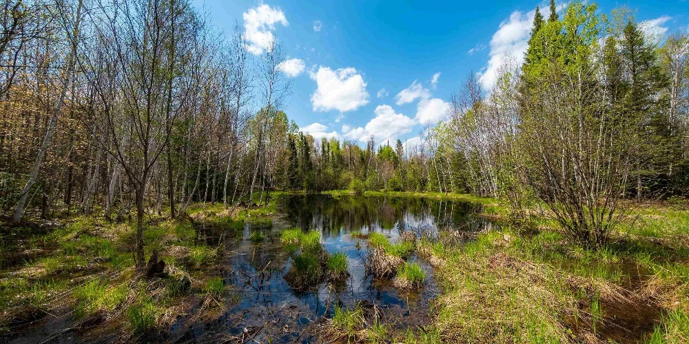 890 Acre Turn-Key Trophy Deer Ranch in Michigan’s Beautiful Upper Peninsula
