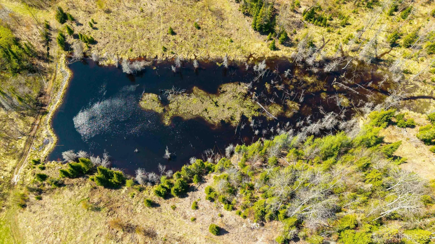 890 Acre Turn-Key Trophy Deer Ranch in Michigan’s Beautiful Upper Peninsula