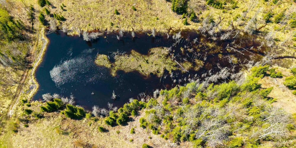 890 Acre Turn-Key Trophy Deer Ranch in Michigan’s Beautiful Upper Peninsula