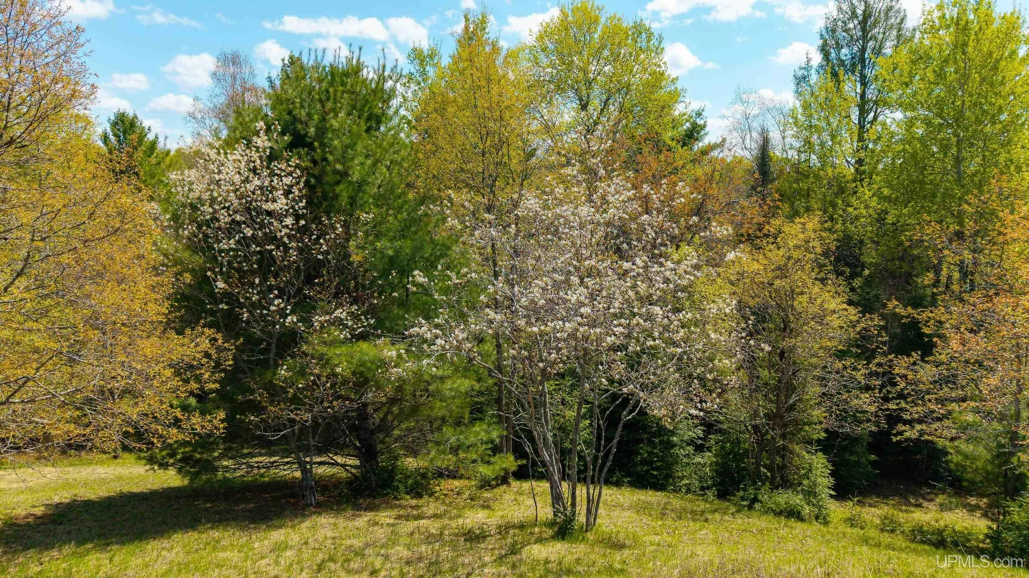 890 Acre Turn-Key Trophy Deer Ranch in Michigan’s Beautiful Upper Peninsula