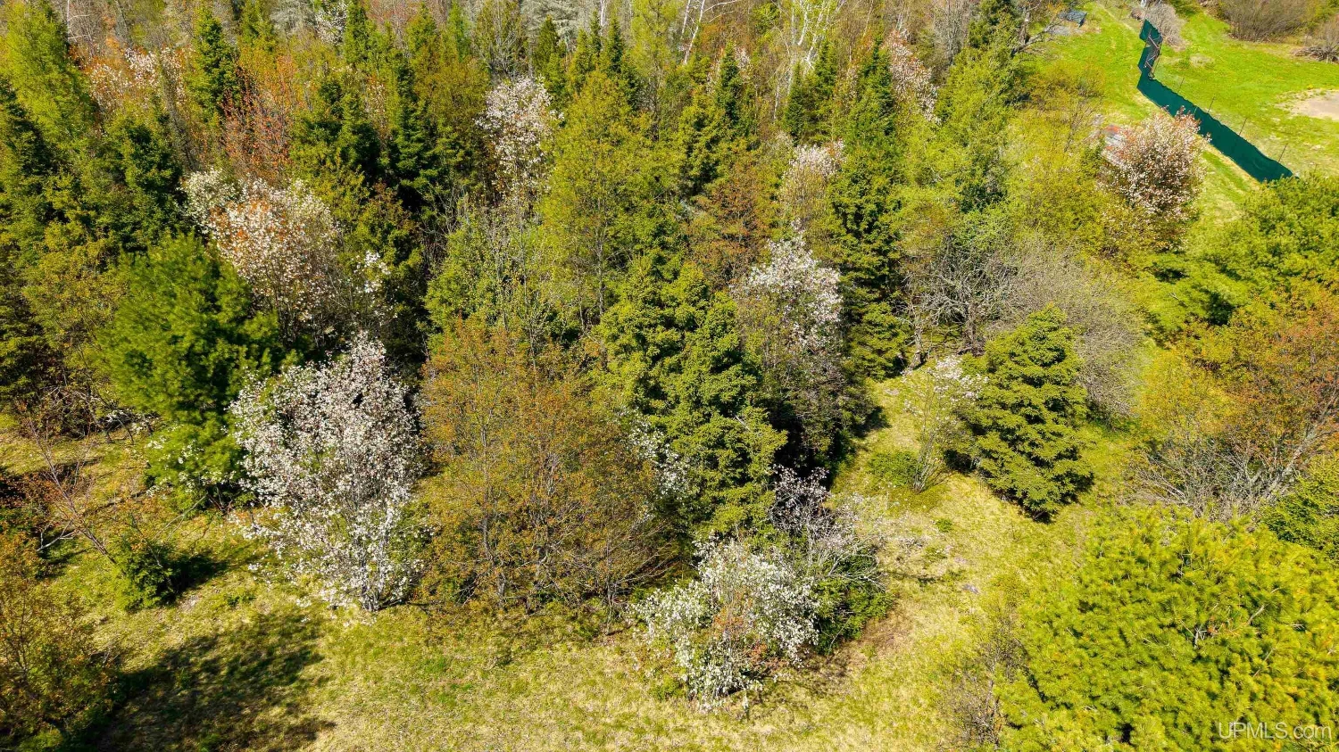 890 Acre Turn-Key Trophy Deer Ranch in Michigan’s Beautiful Upper Peninsula