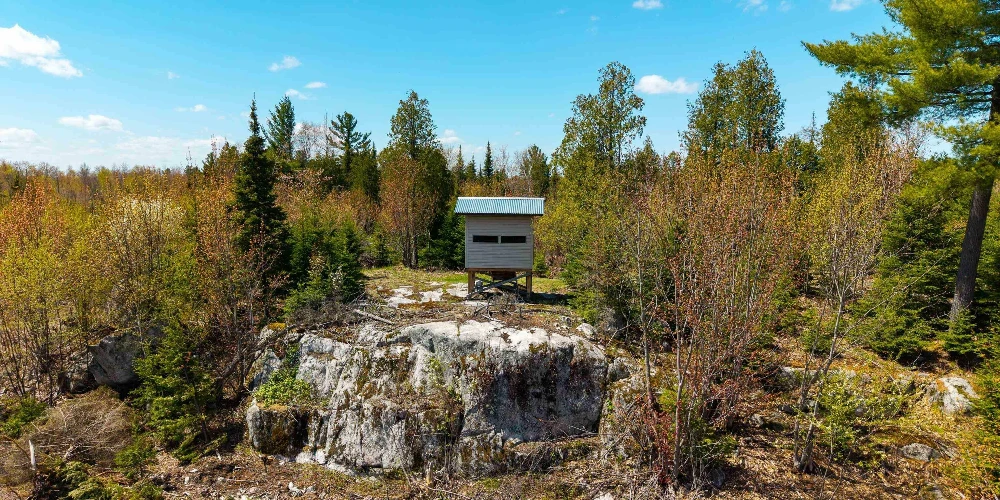 890 Acre Turn-Key Trophy Deer Ranch in Michigan’s Beautiful Upper Peninsula