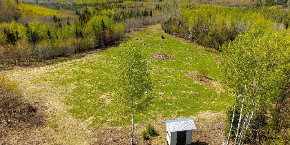 890 Acre Turn-Key Trophy Deer Ranch in Michigan’s Beautiful Upper Peninsula