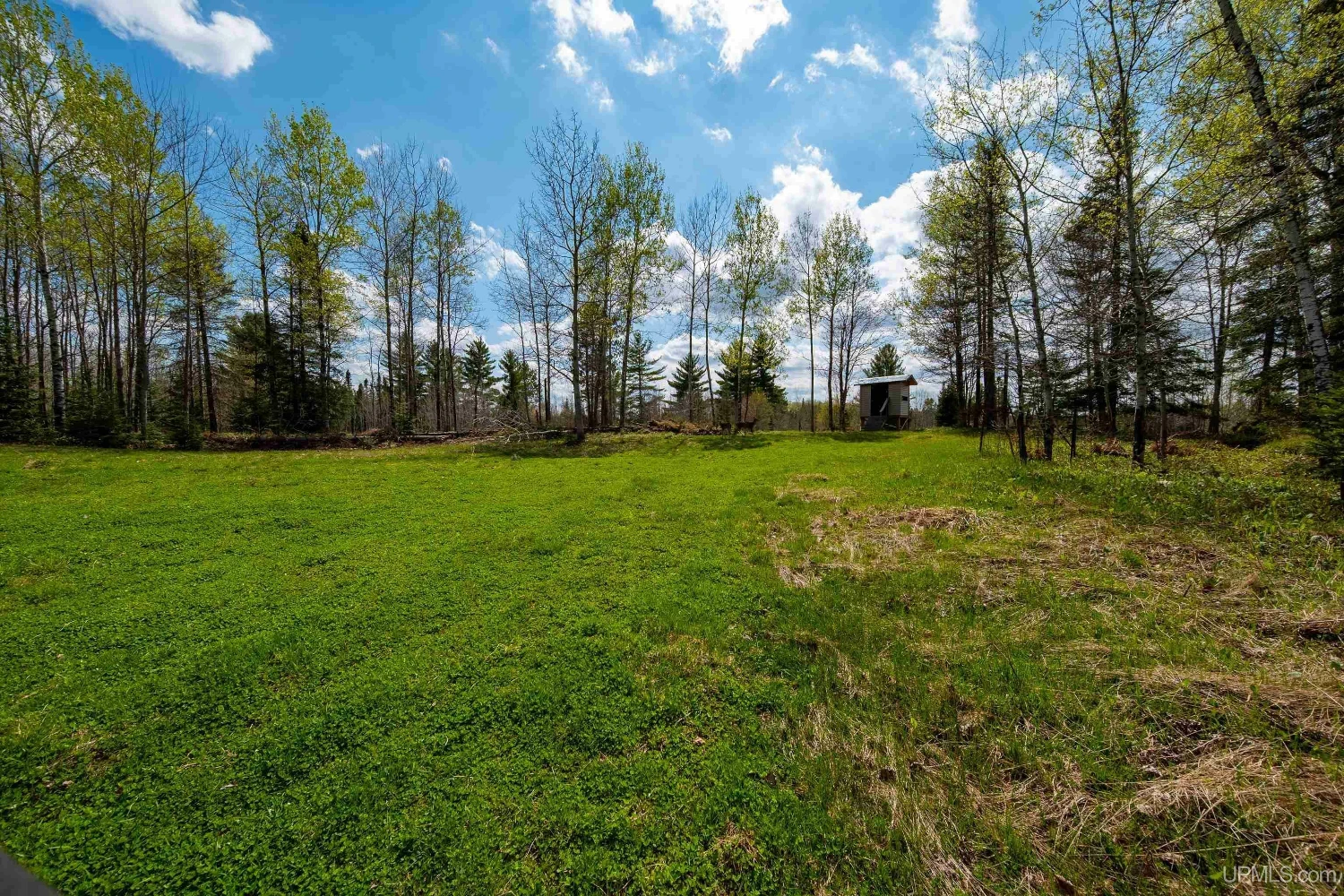 890 Acre Turn-Key Trophy Deer Ranch in Michigan’s Beautiful Upper Peninsula