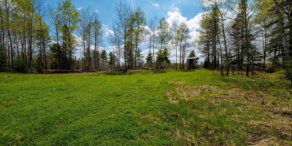 890 Acre Turn-Key Trophy Deer Ranch in Michigan’s Beautiful Upper Peninsula