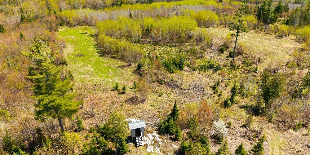 890 Acre Turn-Key Trophy Deer Ranch in Michigan’s Beautiful Upper Peninsula