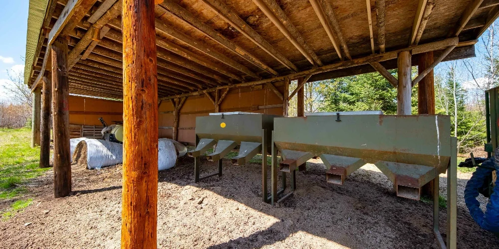 890 Acre Turn-Key Trophy Deer Ranch in Michigan’s Beautiful Upper Peninsula
