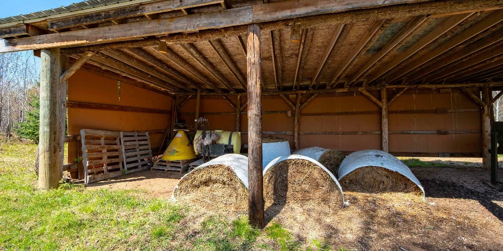 890 Acre Turn-Key Trophy Deer Ranch in Michigan’s Beautiful Upper Peninsula