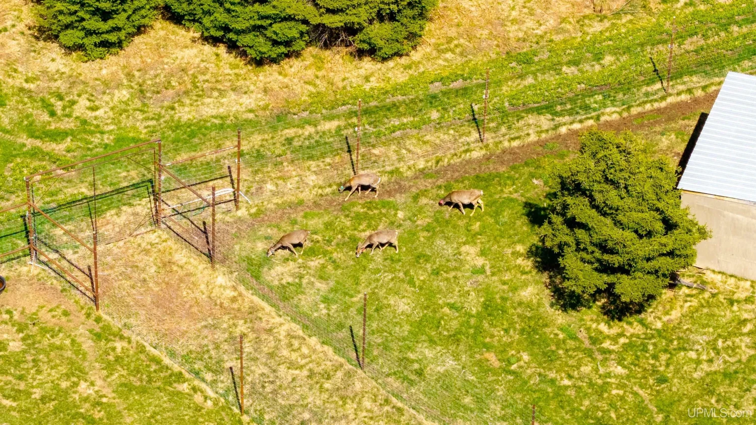 890 Acre Turn-Key Trophy Deer Ranch in Michigan’s Beautiful Upper Peninsula
