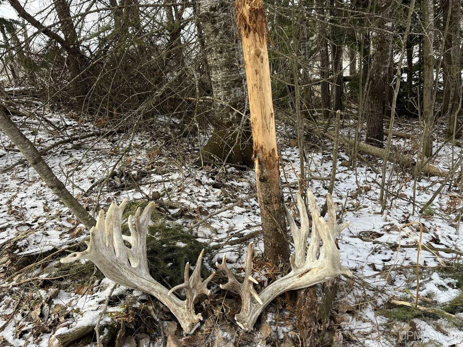 890 Acre Turn-Key Trophy Deer Ranch in Michigan’s Beautiful Upper Peninsula