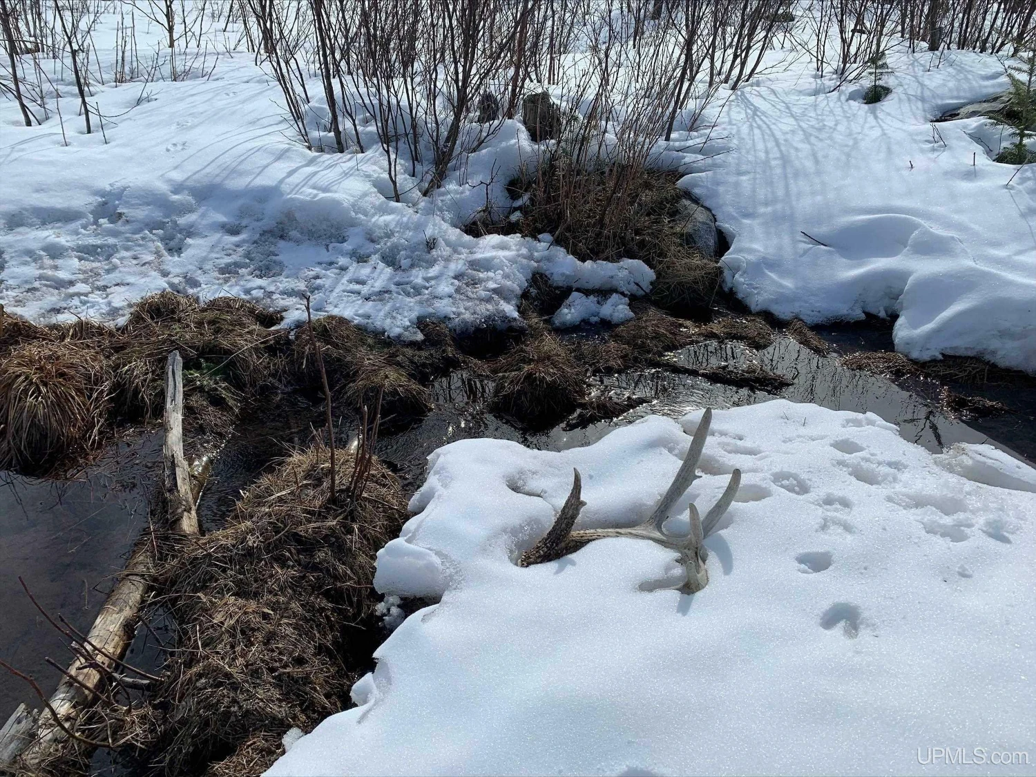 890 Acre Turn-Key Trophy Deer Ranch in Michigan’s Beautiful Upper Peninsula