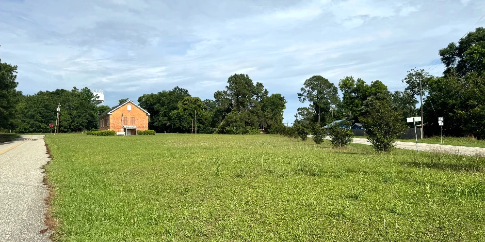 8289 Brumby Avenue, Damascus, GA for sale