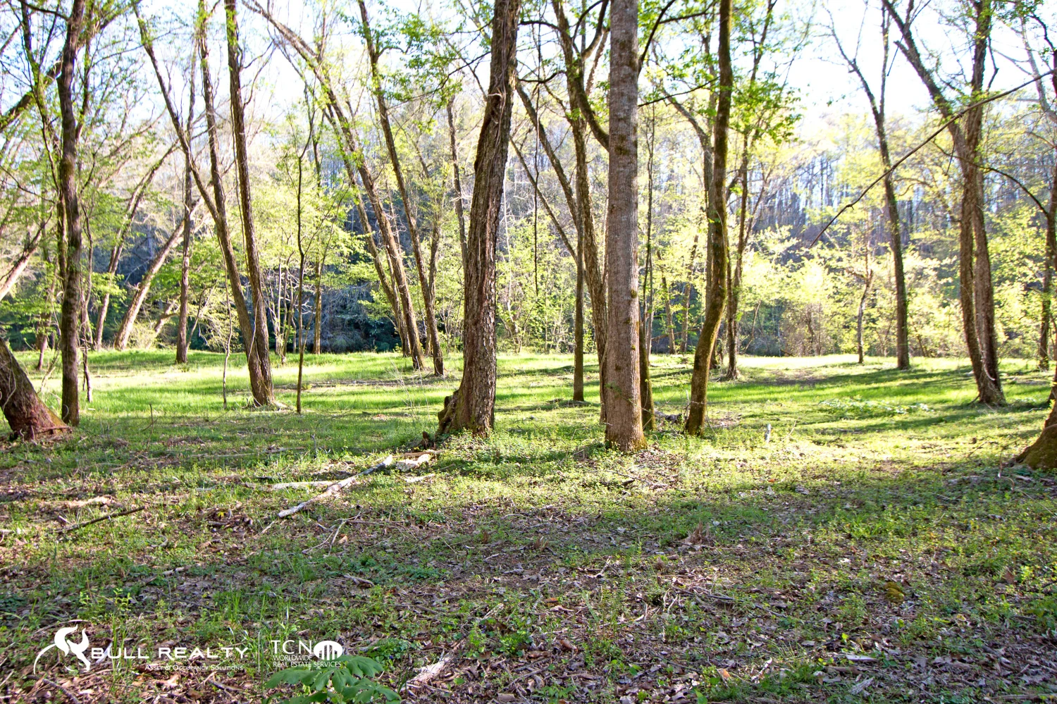Residential Townhome Development