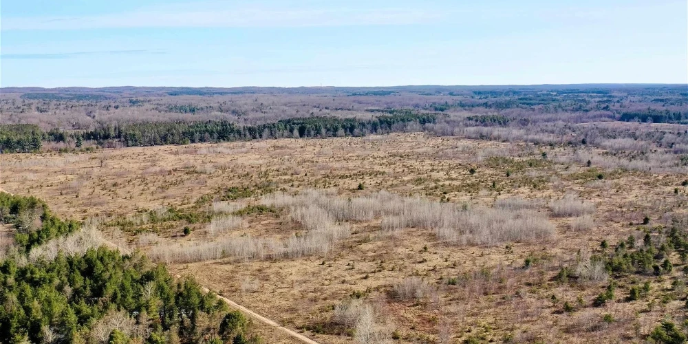 200 Acres of Vacant Land for Residential or Industrial Development