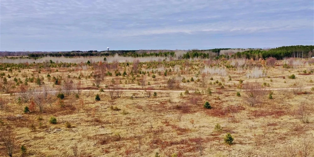 200 Acres of Vacant Land for Residential or Industrial Development