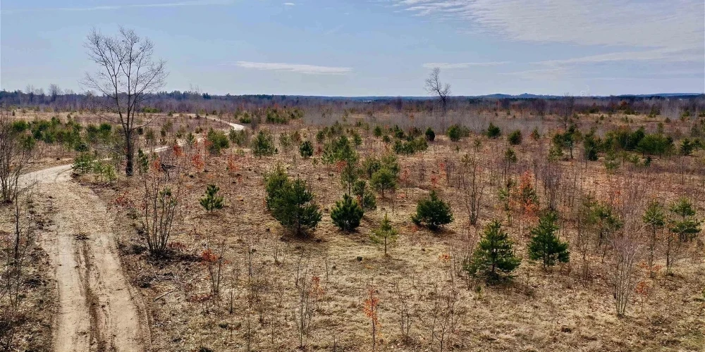 200 Acres of Vacant Land for Residential or Industrial Development