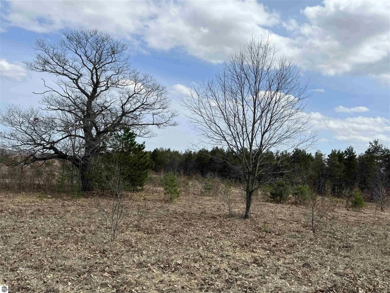 200 Acres of Vacant Land for Residential or Industrial Development