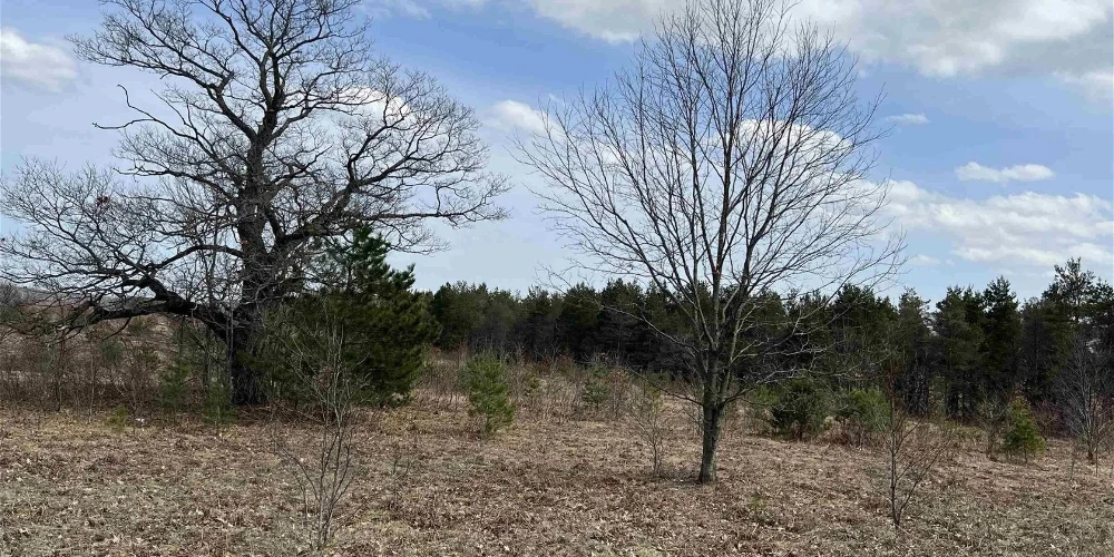 200 Acres of Vacant Land for Residential or Industrial Development