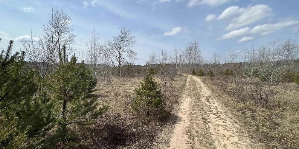 200 Acres of Vacant Land for Residential or Industrial Development