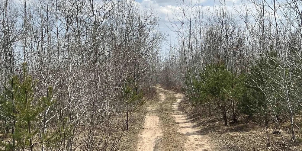 200 Acres of Vacant Land for Residential or Industrial Development