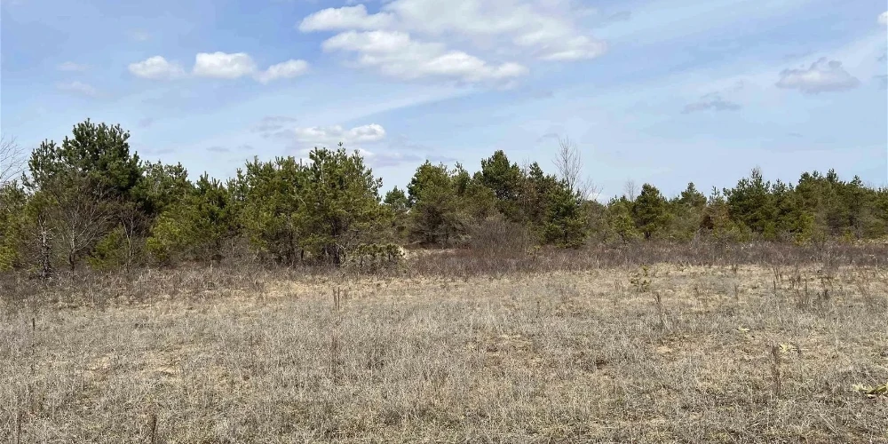 200 Acres of Vacant Land for Residential or Industrial Development