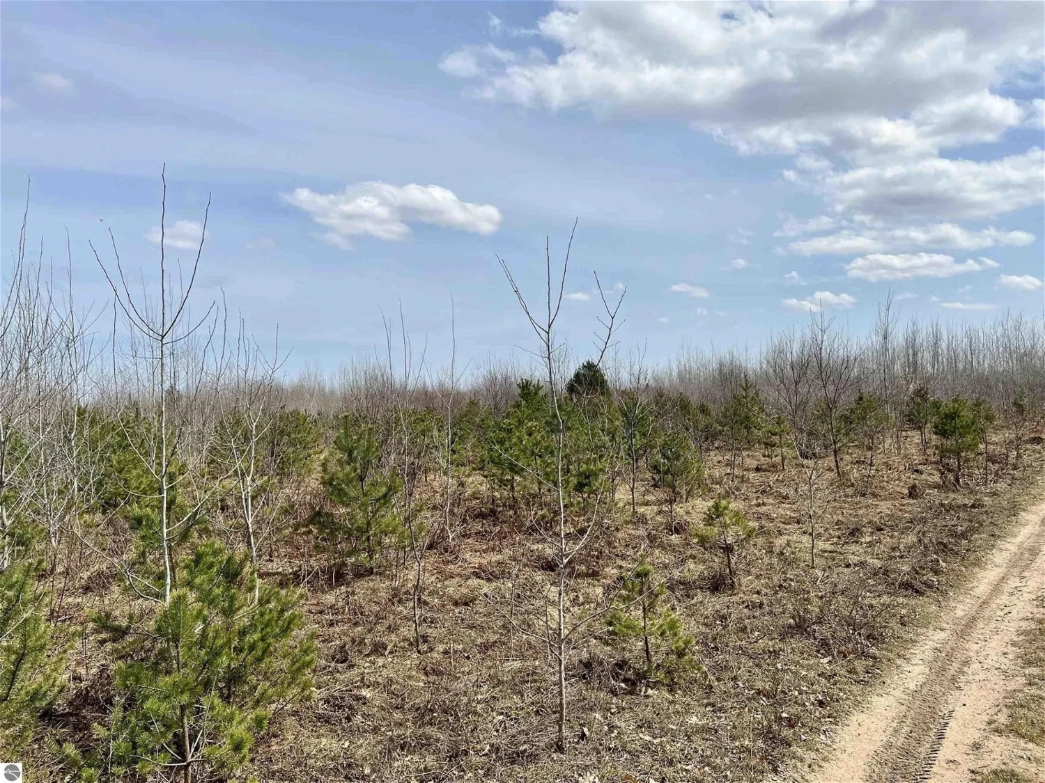 200 Acres of Vacant Land for Residential or Industrial Development