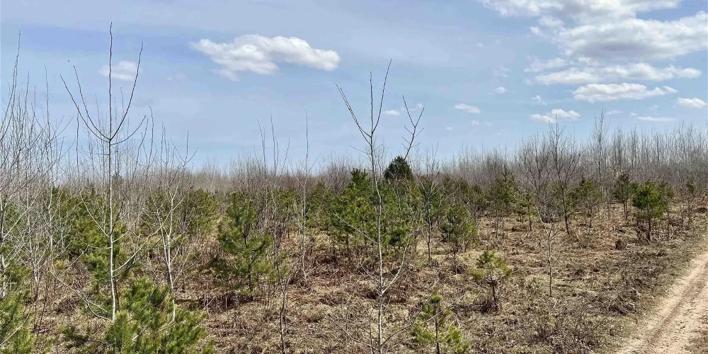 200 Acres of Vacant Land for Residential or Industrial Development