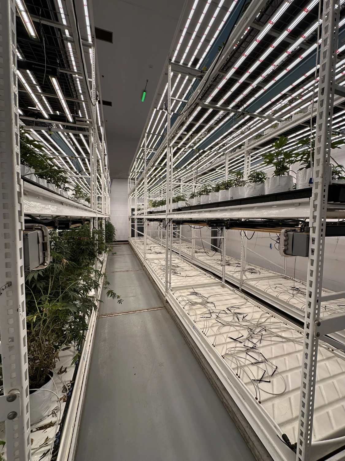 Burton - Operating Cultivation/Processing Facility