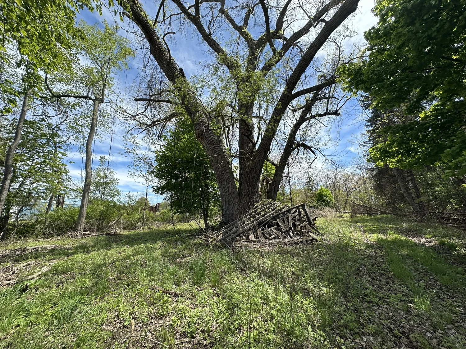 157-171 Willow Rd - 1,874+/- SF Junkyard Property